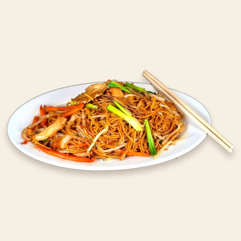 Chicken lo mein with carrots and green onions